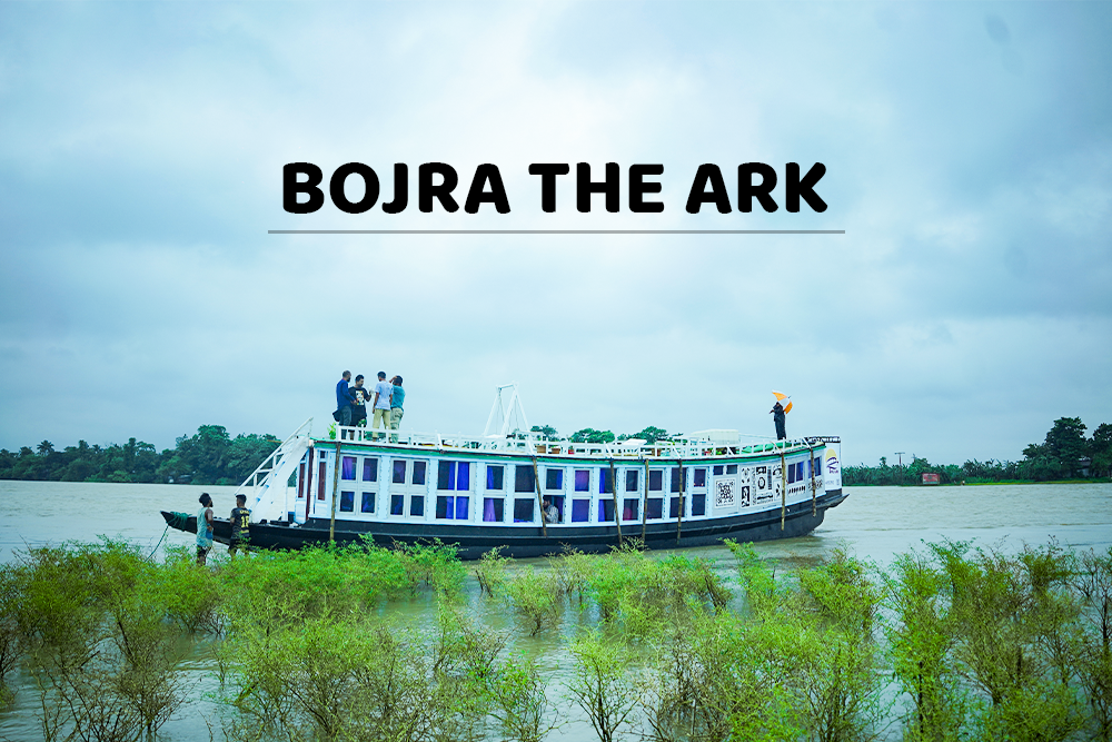 Bojra The Ark